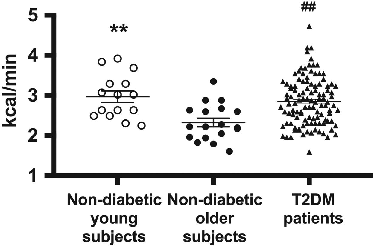 Figure 18.2, Gastric emptying rate of a mashed potato meal (expressed in kcal/min) in patients with well controlled type 2 diabetes (T2DM; n=111, HbA1c 6.6 ±0.1%, age 64.8±0.6 years) compared to young (n=15, age 21.3±0.7 years) and older (n=18, age 65.4±1.8 years) control subjects without diabetes, assessed by 13 C-octanoic acid breath test. Unpaired T -test was used to determine statistical difference. Data are mean±SEM. **P<.01 for young vs older subjects without diabetes, ##P<.01 for patients with T2DM vs older subjects without diabetes.