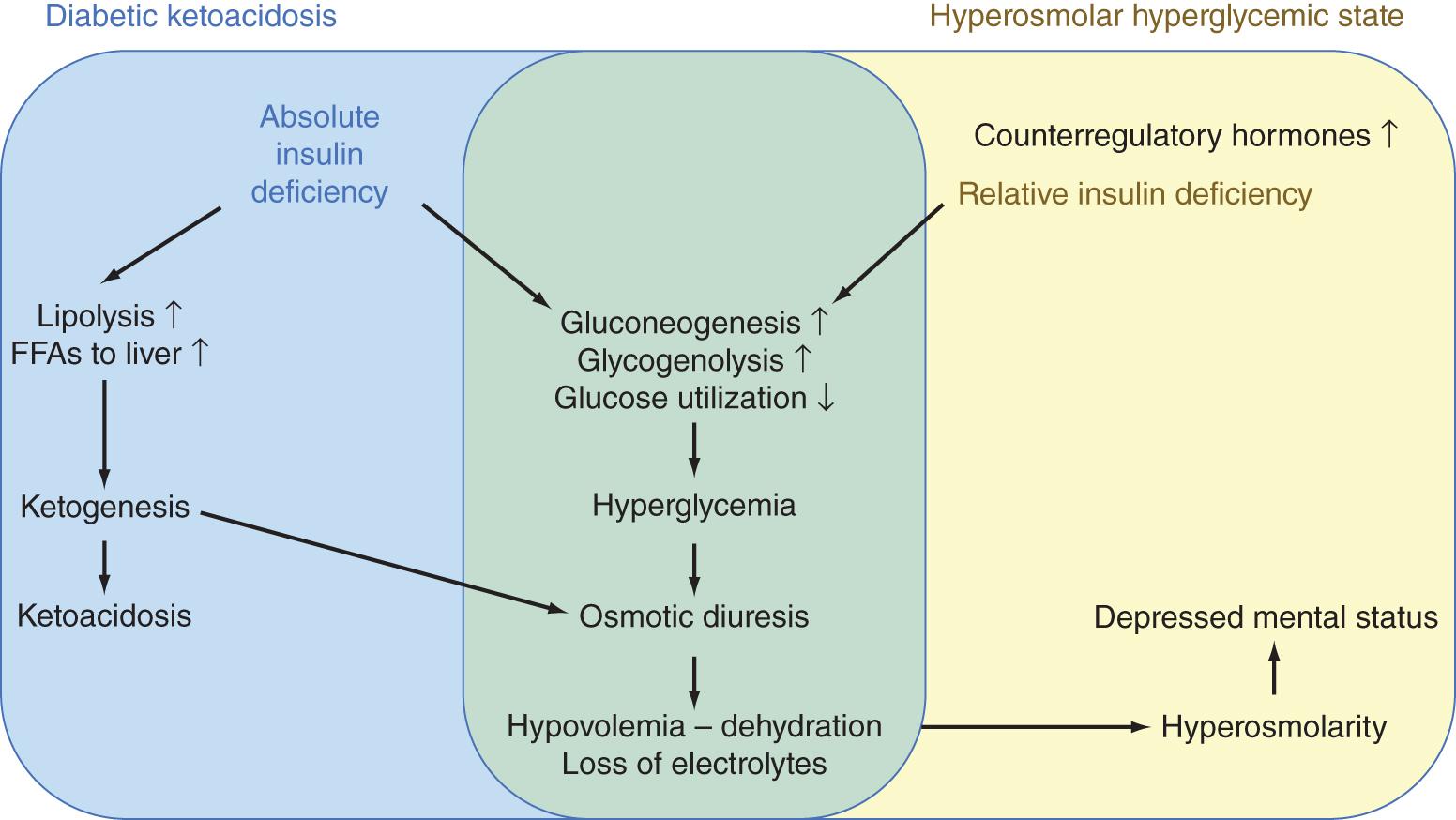 Fig. 135.1, Pathophysiology of Diabetic Ketoacidosis and Hyperosmolar Hyperglycemic State.