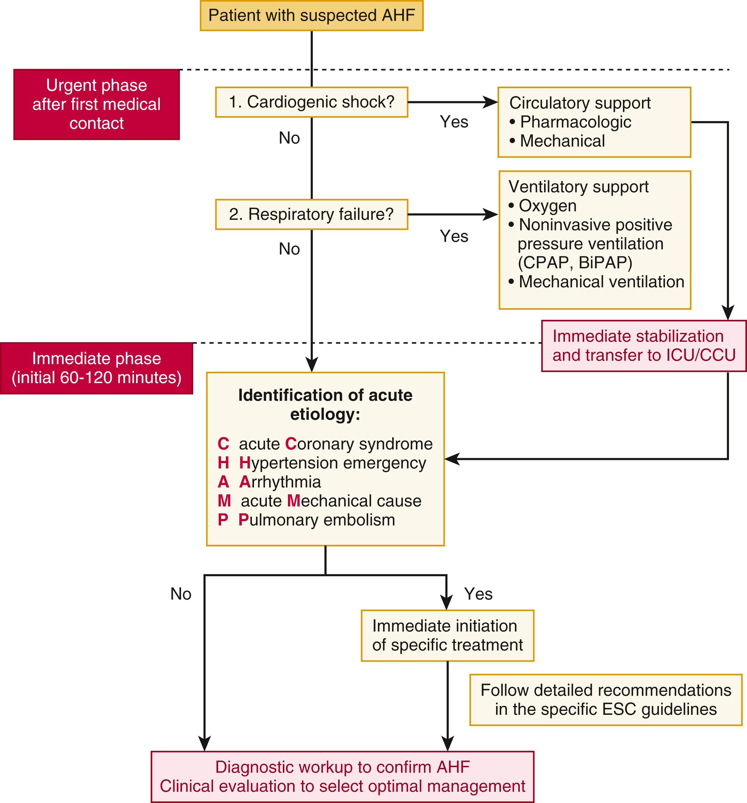 FIGURE 49.6, Algorithm for initial stabilization and management of patients with acute heart failure.