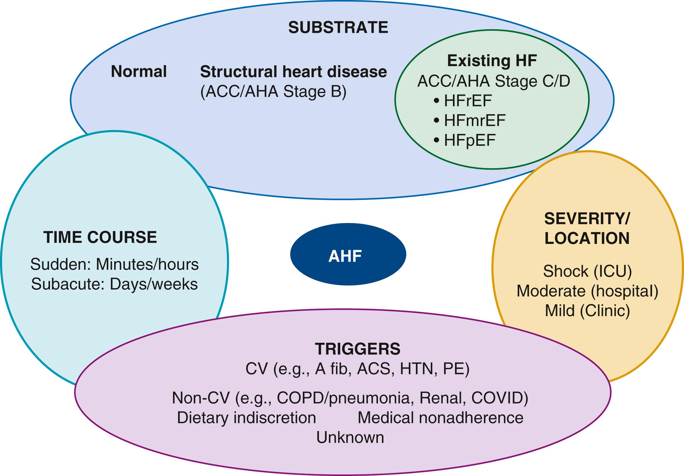 FIGURE 49.7, Systematic approach to classification of patients with acute heart failure.
