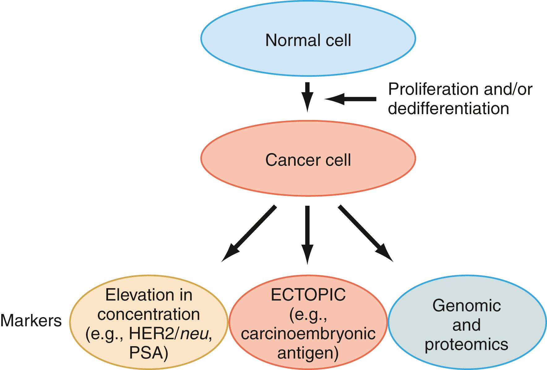 Figure 76.1, Different types of serum tumor markers are used to detect cancer. HER2 and prostate-specific antigen (PSA) reflect increased cellular proliferation. Carcinoembryonic antigen represents the dedifferentiation process of cancer. Current genomic and proteomics focus on collective changes in malignant cells.