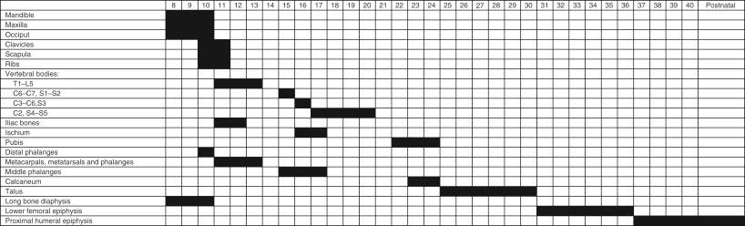 • Fig. 34.2, Ossification of the fetal skeleton by gestational age.