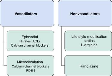 Fig. 38.4, Vasodilator and nonvasodilator strategies to improve anginal symptoms arising from either the epicardial vessels or microvasculature. ACEi, Angiotensin converting enzyme inhibitors; PDE-1, phosphodiesterase 1.