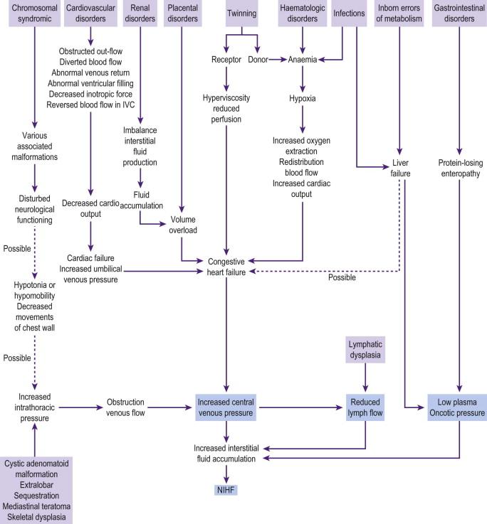 FIGURE 8-4, General pathophysiologic pathways in various causes of non-immune hydrops fetalis (NIHF).