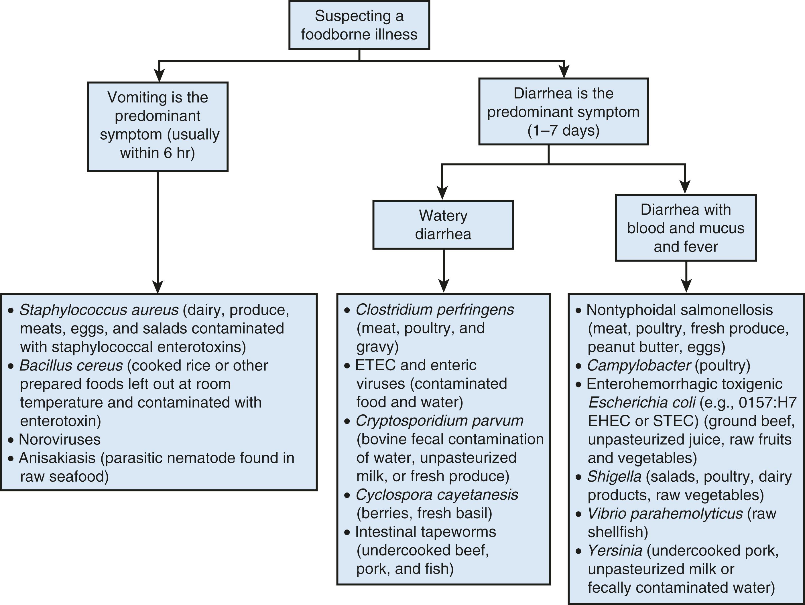 Fig. 14.2, Differentiating causes of foodborne illness. EHEC, enterohemorrhagic Escherichia coli ; ETEC, enterotoxigenic E. coli ; STEC, Shiga toxin–producing E. coli .