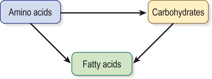Fig. 16.8, Metabolic pathways of energy substrates in the fasted state.