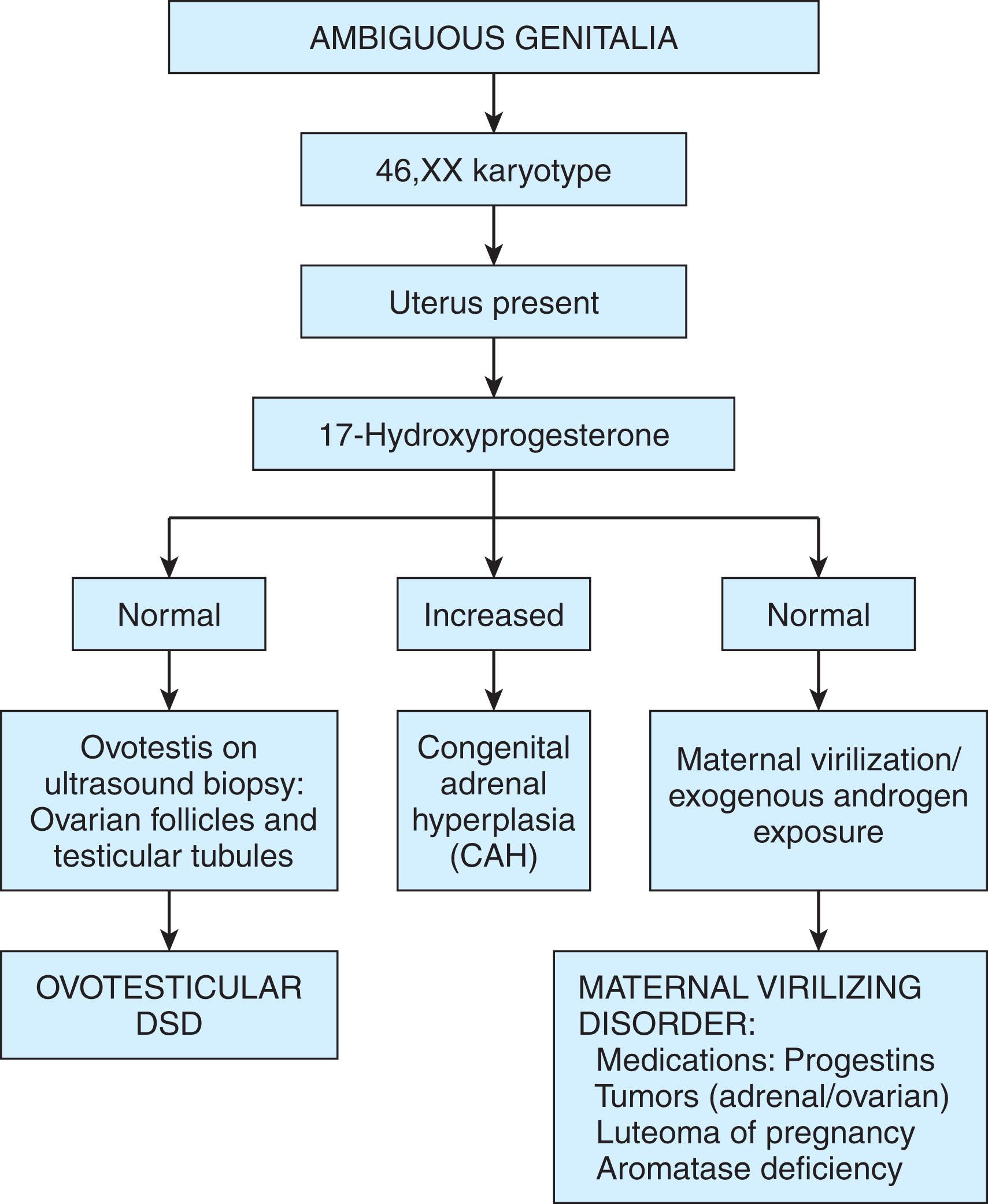 Fig. 85.10, Algorithm for evaluation of the 46,XX infant with ambiguous genitalia. The presence of a uterus would be determined radiographically by ultrasound examination, genitourethrogram, or magnetic resonance imaging.