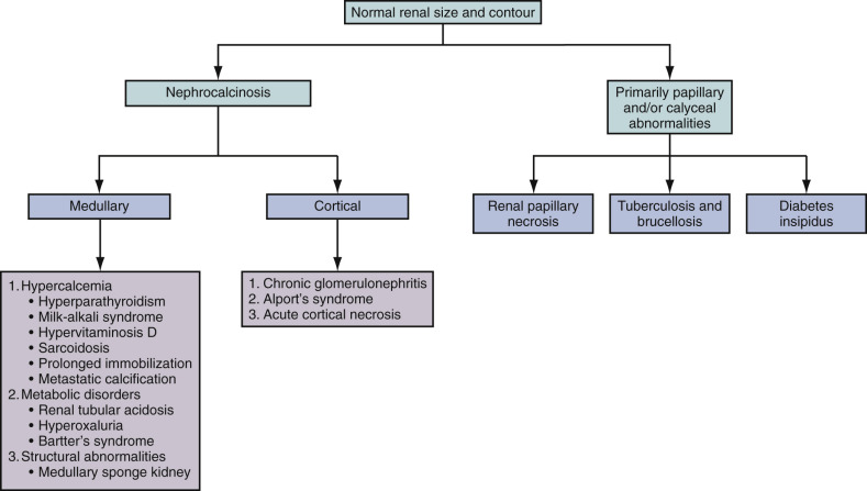Figure 64-12, Algorithm showing approach to diffuse renal parenchymal diseases with normal renal bulk and contour.