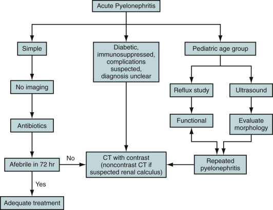 Figure 64-14, Algorithm for evaluation of acute pyelonephritis. CT, Computed tomography.