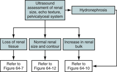 Figure 64-6, Radiologic approach to renal parenchymal diseases.