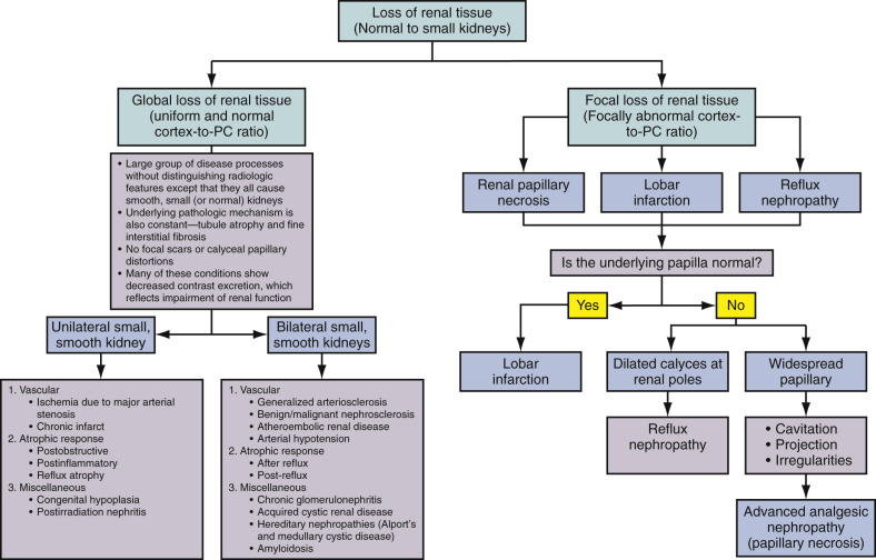 Figure 64-7, Algorithm showing approach to diffuse renal parenchymal diseases with loss of renal tissue.