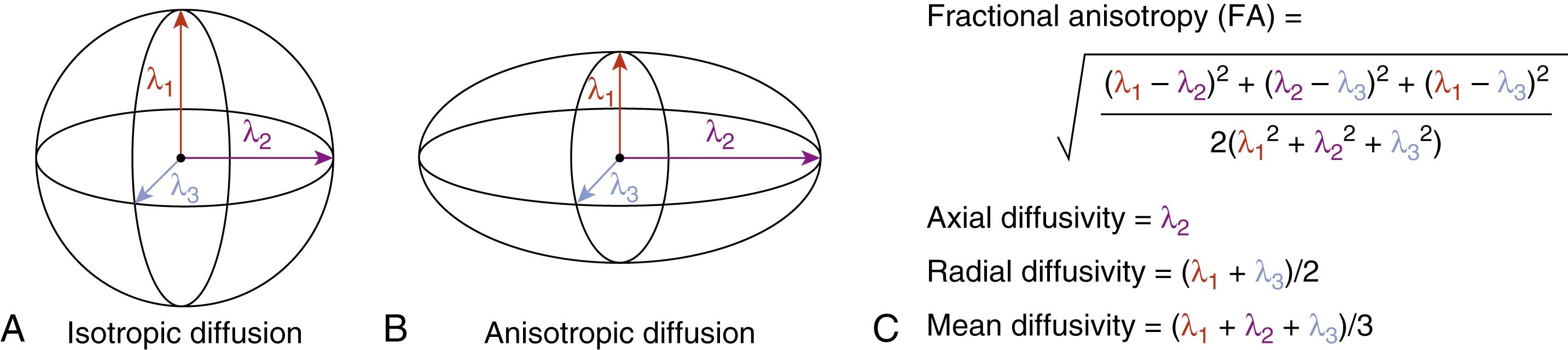 FIGURE 3.1, Depiction of (A) isotropic and (B) anisotropic diffusion of water molecules. (C) In cases of anisotropic diffusion, key measures include fractional anisotropy (FA), axial diffusivity, radial diffusivity, and mean diffusivity.