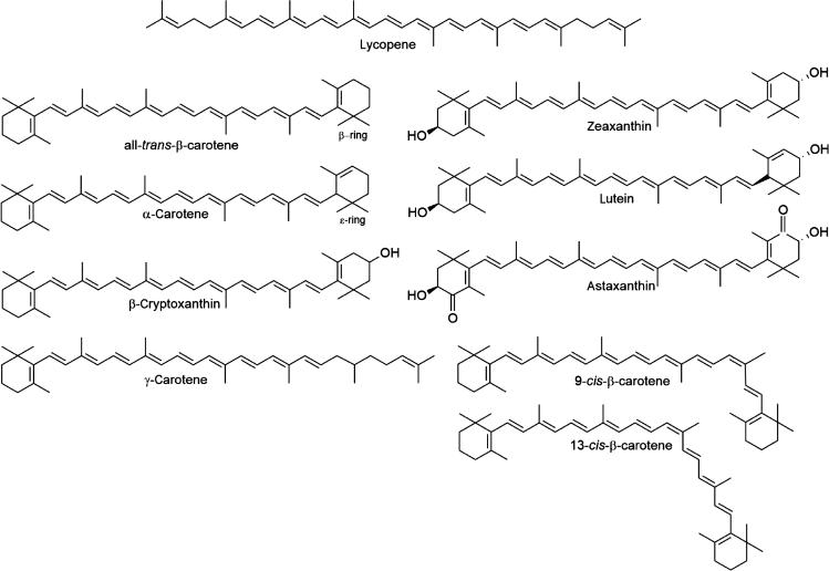 Fig. 50.1, Structures of commonly consumed carotenoids. Note that β-carotene with two unsubstituted β-rings (one of which is labeled) has higher provitamin A activity than the other provitamin A carotenoids, which have only one β-ring.