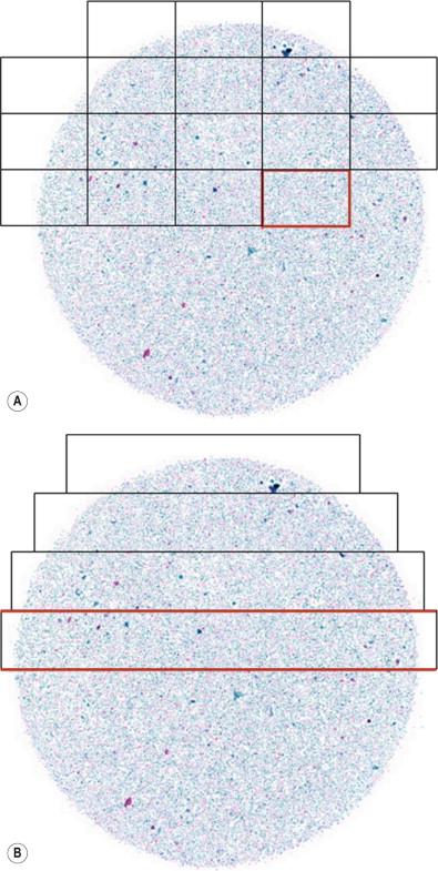 Figure 34-3, Slide scanning may be done by grabbing single images (image tiling) (A) or by line scanning (B). Stitching of image tiles or stripes is a complex software process because the images have to be automatically and perfectly aligned both horizontally and vertically.