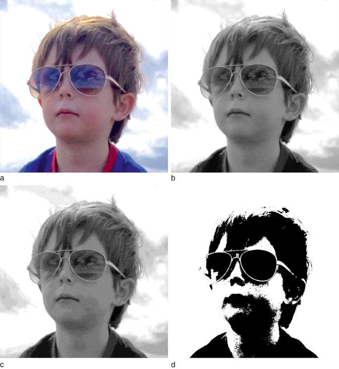 Fig. 22.1, When considering how images are represented ‘perfect’ fidelity may not be needed to convey meaningful information. The same original image is used throughout a - d . ( a ) A ‘normal’ full color image as produced by most conventional digital cameras. ( b ) The image modified to 256 shades of grey. ( c ) The image represented as only 16 possible shades of grey with a much reduced file size, but some discernible loss of image quality. ( d ) With only 2 possible values per pixel, the image is still recognizable and able to convey meaning, although it is significantly simplified and with a small fraction of the file size.