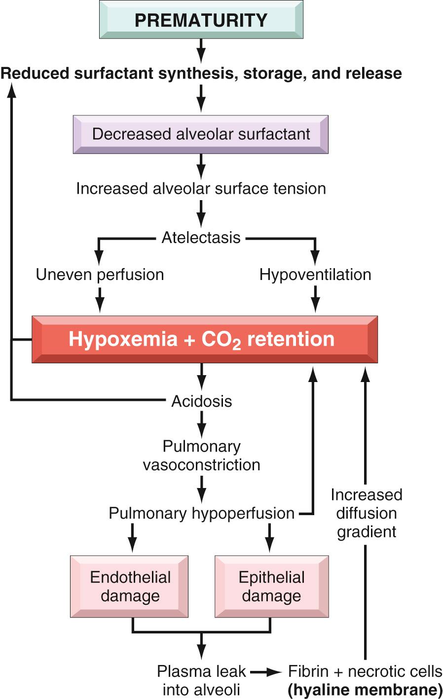 Figure 10.6, Schematic outline of the pathophysiology of respiratory distress syndrome (see text).