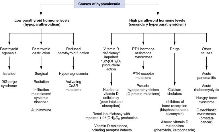 Figure 13-3, Causes of hypocalcemia.