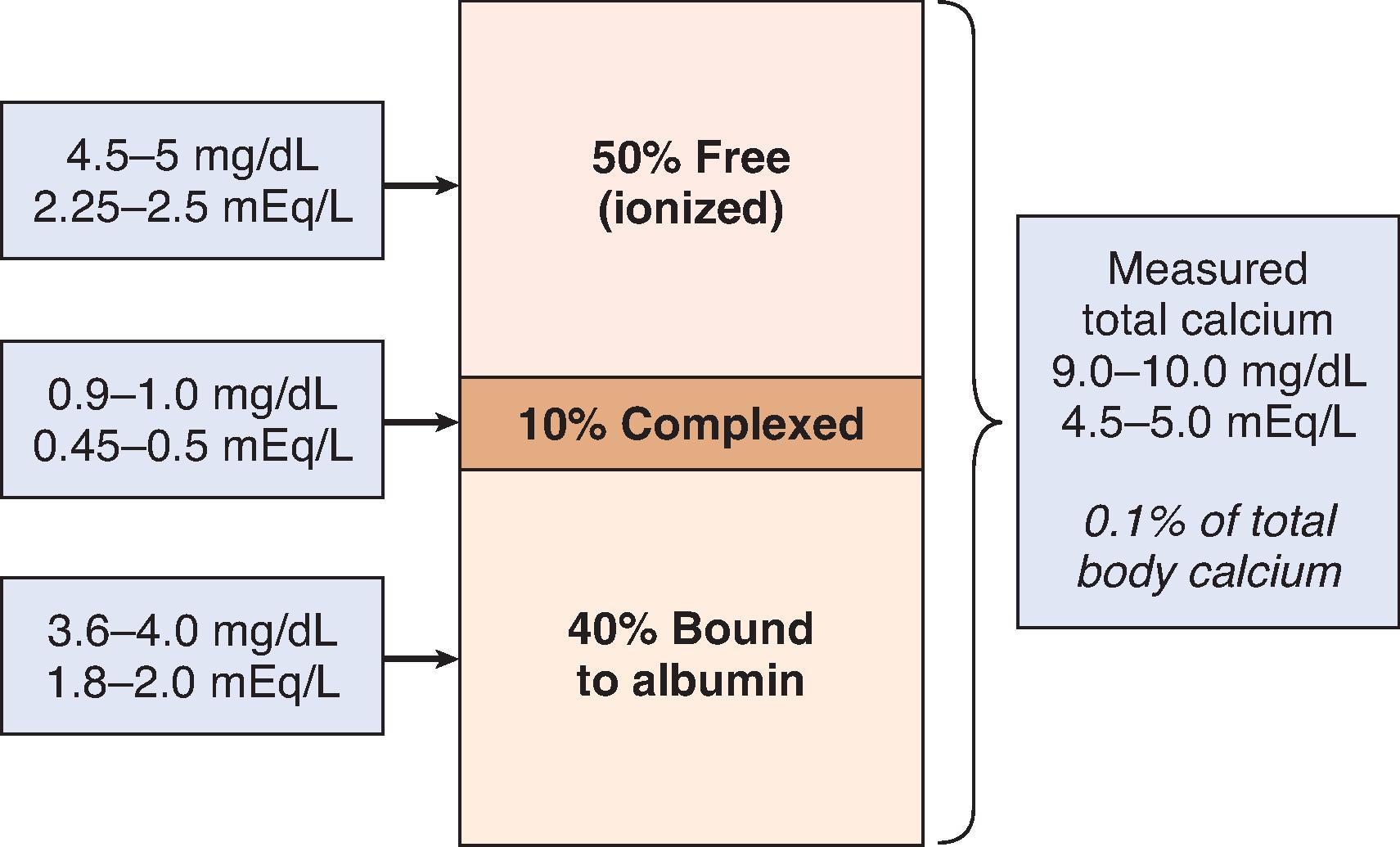 Fig. 11.3, Distribution of extracellular calcium. Only 0.1% of the total body calcium is in the extracellular space; the other 99.9% is localized in bone. The serum calcium concentration reported by the clinical laboratory is total serum calcium. However, only approximately 50% of this total calcium is the physiologically active ionized component. The other 50% of serum calcium is composed of the 10% of the total calcium that is complexed to anions such as bicarbonate, phosphate, and citrate and the 40% that is bound to albumin.