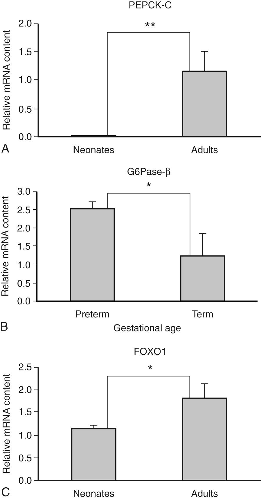 Fig. 86.2, Postnatal changes in gene expression of key gluconeogenic molecules in preterm baboons at 125 days, term 185 d and adult PEPCK-C (A) , G6Pase-b (B) , and FOXO1 (C) .