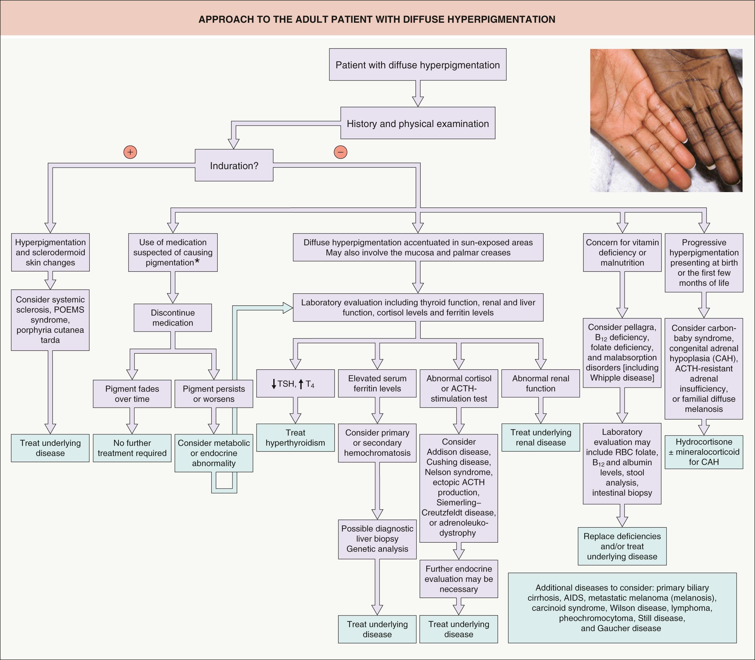 Fig. 67.10, Approach to the adult patient with diffuse hyperpigmentation.