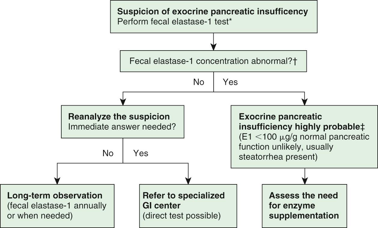 Fig. 364.2, Algorithm for assessment of exocrine pancreatic function.