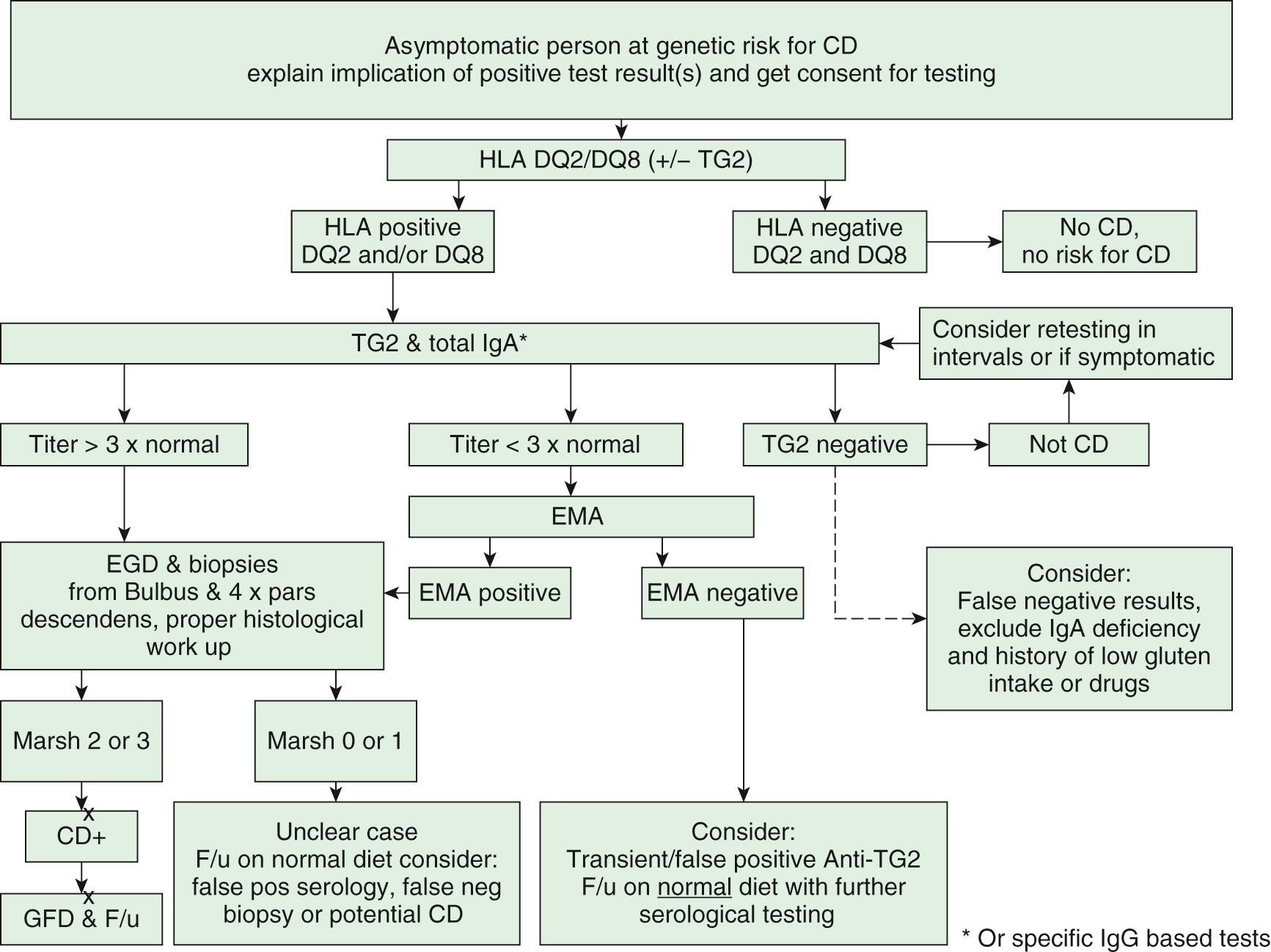 Fig. 364.5, Diagnostic algorithm for celiac disease (CD) in asymptomatic children/adolescents belonging to at-risk groups, according to ESPGHAN. EGD, Esophagogastroduodenoscopy; EMA , endomysial antibodies; Ig , immunoglobulin; HLA , human leukocyte antigen; TG2 , transglutaminase.