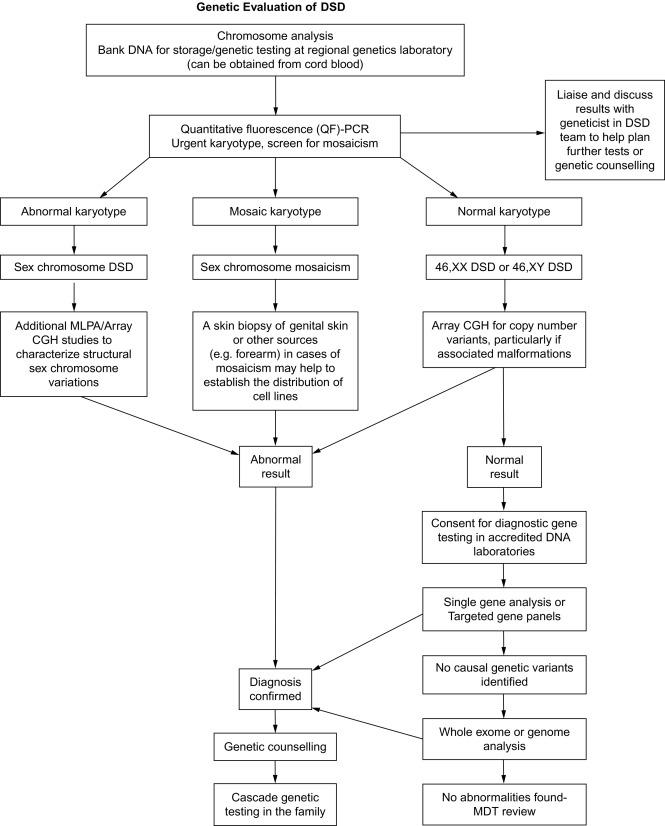 Fig. 4.2, Genetic evaluation of disorders of sexual development (DSD) .