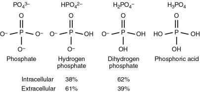 Figure 76.1., There are four forms of phosphate, with two found in the body. Hydrogen phosphate is the dominant form in the extracellular compartment, while dihydrogen phosphate is more common in the intracellular compartment. The other forms are essentially nonexistent in the body.