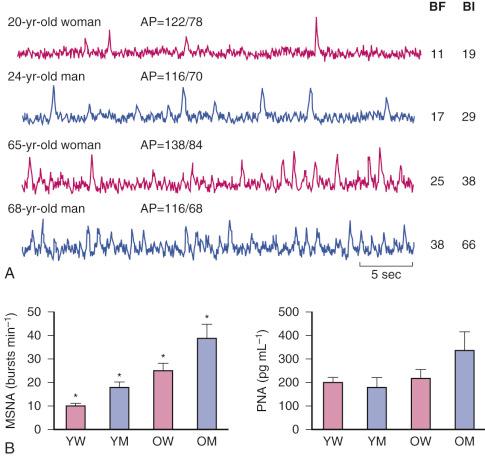 Figure 63-5, Age-associated increases in muscle sympathetic nerve activity (MSNA).