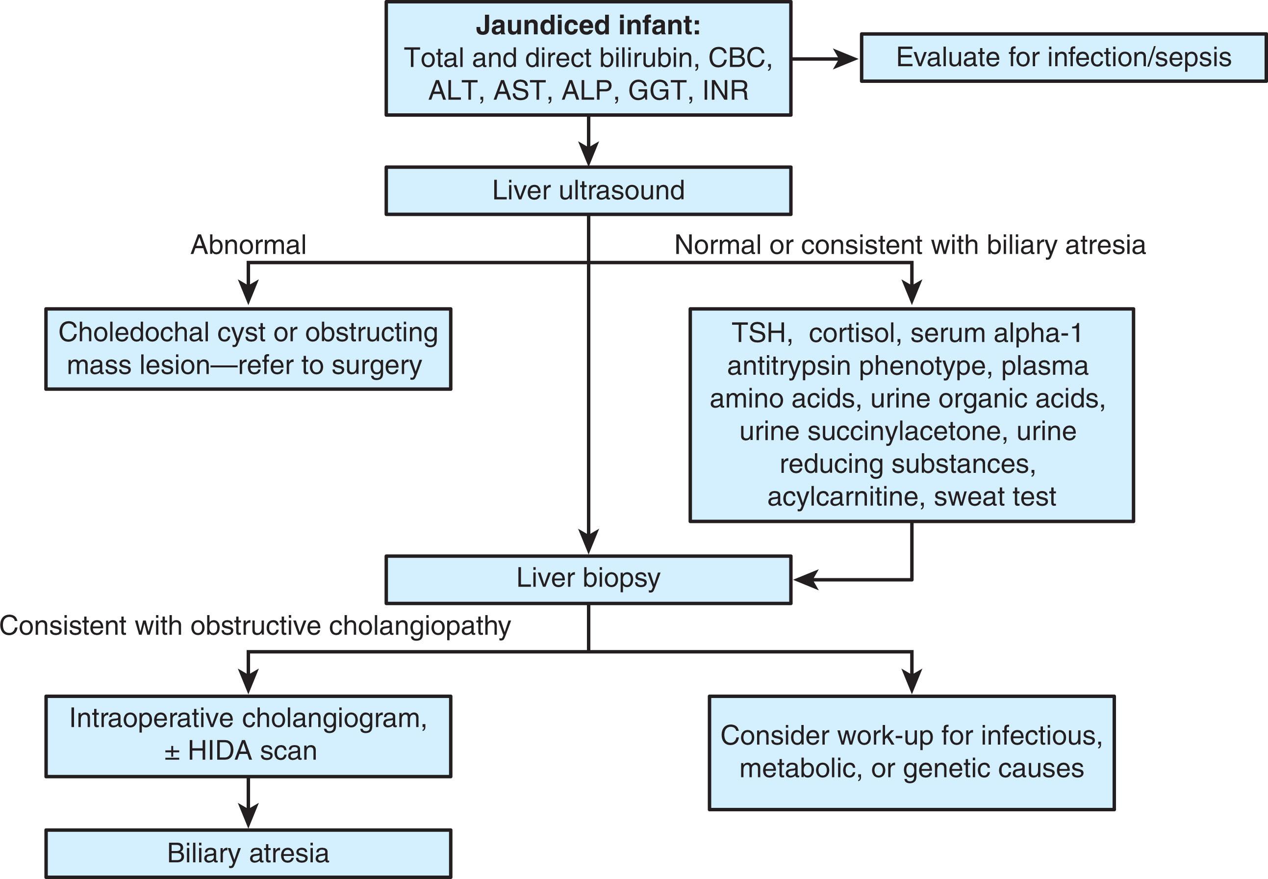 Fig. 65.1, Algorithmic Approach to the Evaluation of an Infant With Conjugated Hyperbilirubinemia.