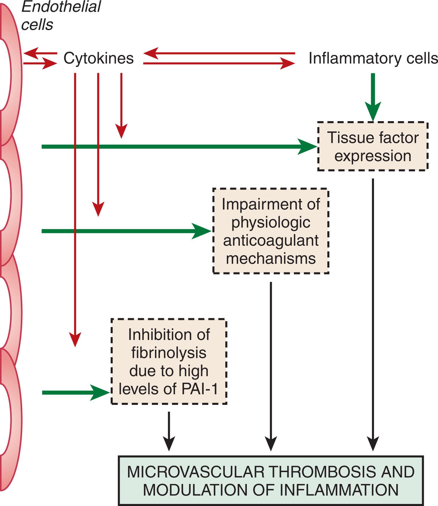 Figure 137.1, PATHWAYS INVOLVED IN THE ACTIVATION OF COAGULATION IN DIC.