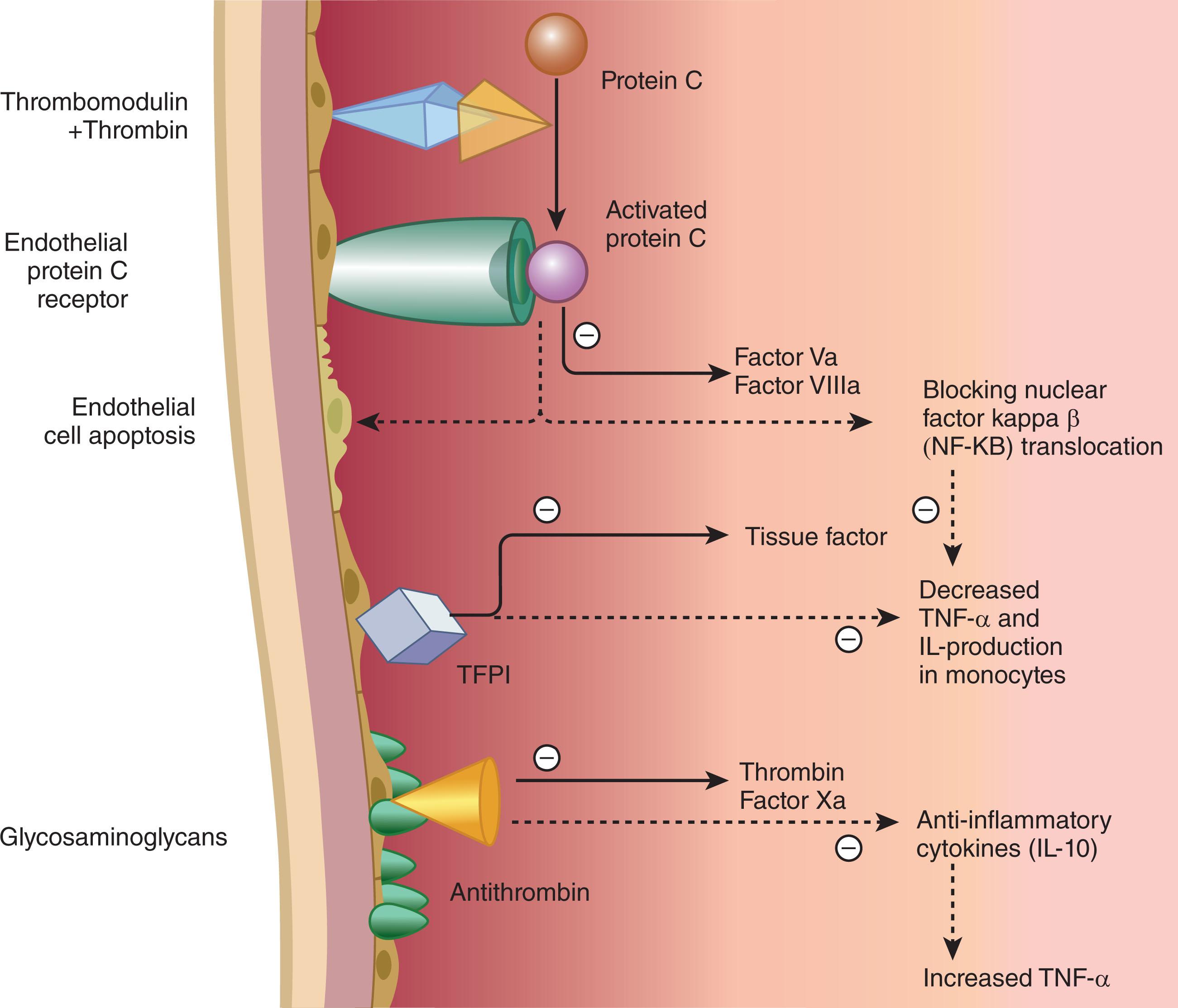 Figure 137.2, PHYSIOLOGICAL ANTICOAGULANT MECHANISMS IN DIC.