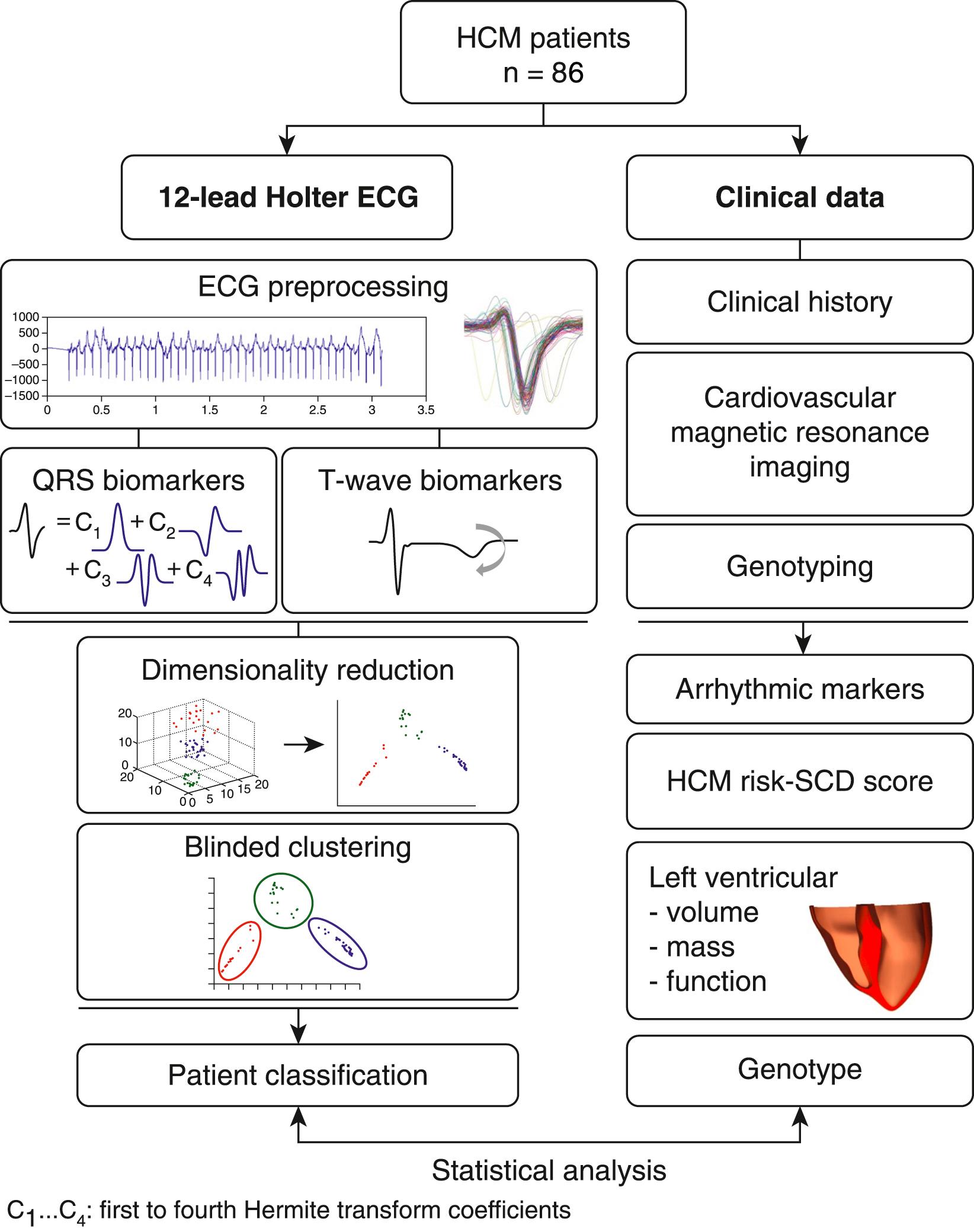 Fig. 34.1, Summary of the methodologies applied in this work for the analysis and classification of 86 hypertrophic cardiomyopathy (HCM) patient electrocardiograms (ECGs) using mathematical modeling and machine learning and the analysis of their clinical and cardiovascular magnetic resonance features. SCD, Sudden cardiac death.