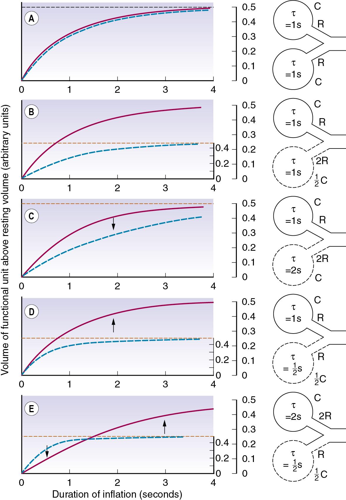 • Fig. 7.2, The effect of mechanical characteristics on the time course of inflation of different functional units of the lung when exposed to a sustained constant inflation pressure. The y -coordinate is volume change, but a scale showing intraalveolar pressure is shown on the right. Separate pressure scales are necessary when the compliances are different. In each case two functional units are shown; the continuous red curve relates to the upper unit, and the broken blue curve to the lower unit. Arrows show the direction of gas redistribution if inflow is checked by closure of the upper airway at the times indicated. See text for explanation of the changes. τ = time constant. R = resistance, C = compliance.