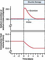 Figure 32-1, Sodium excretion and extracellular fluid volume during diuretic administration. The immediate increase in sodium excretion is accompanied by a decrease in extracellular fluid volume. If sodium intake is held constant, compensatory mechanisms will eventually return sodium excretion to equal sodium intake, thus re-establishing sodium balance.