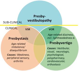 FIG. 1.1, Typology of age-related dizziness, imbalance, and vestibular loss. VOR , vestibulo-ocular reflex; VSR , vestibulospinal reflex.