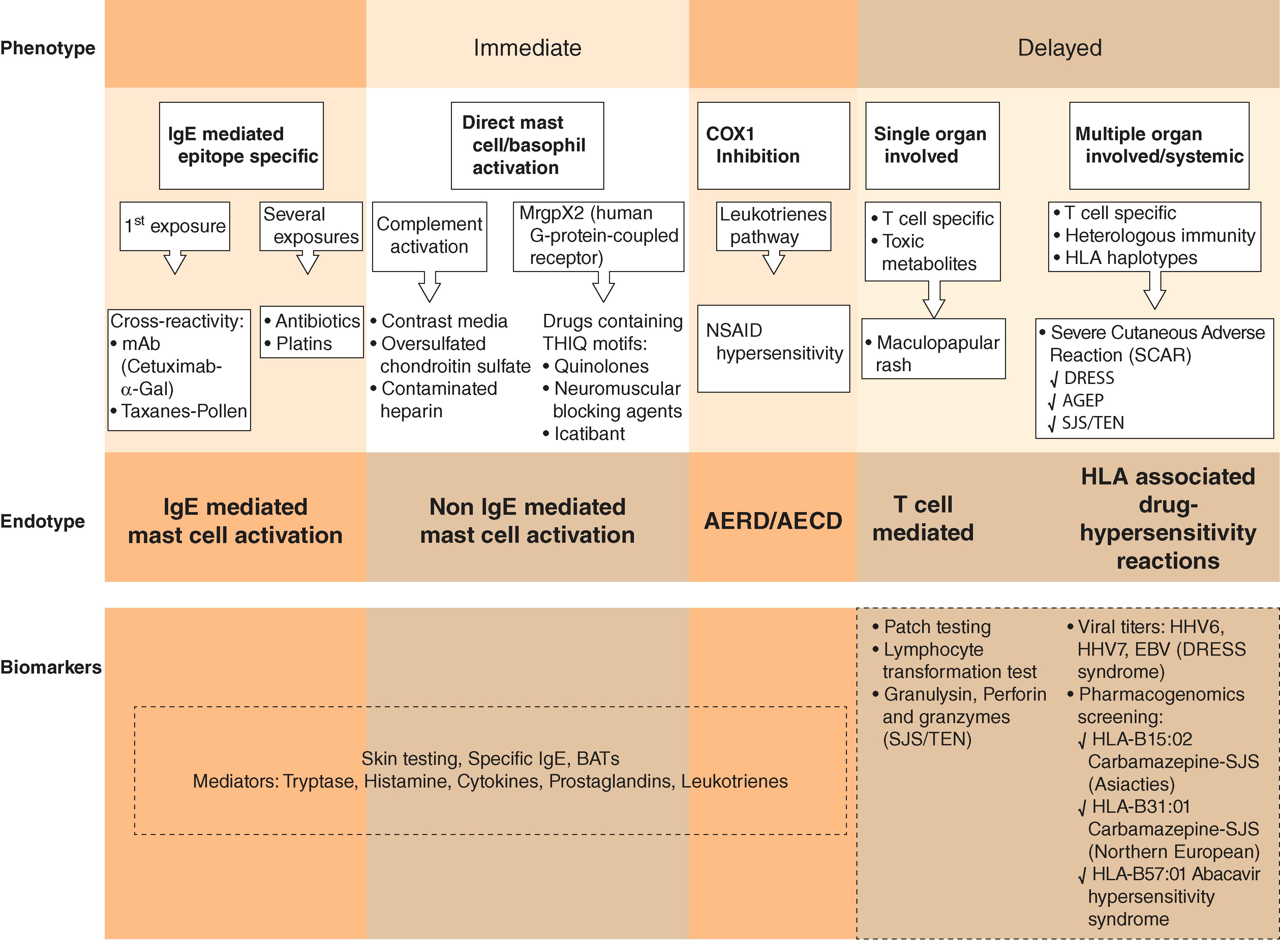 FIGURE 234-1, Type B drug reaction phenotypes.