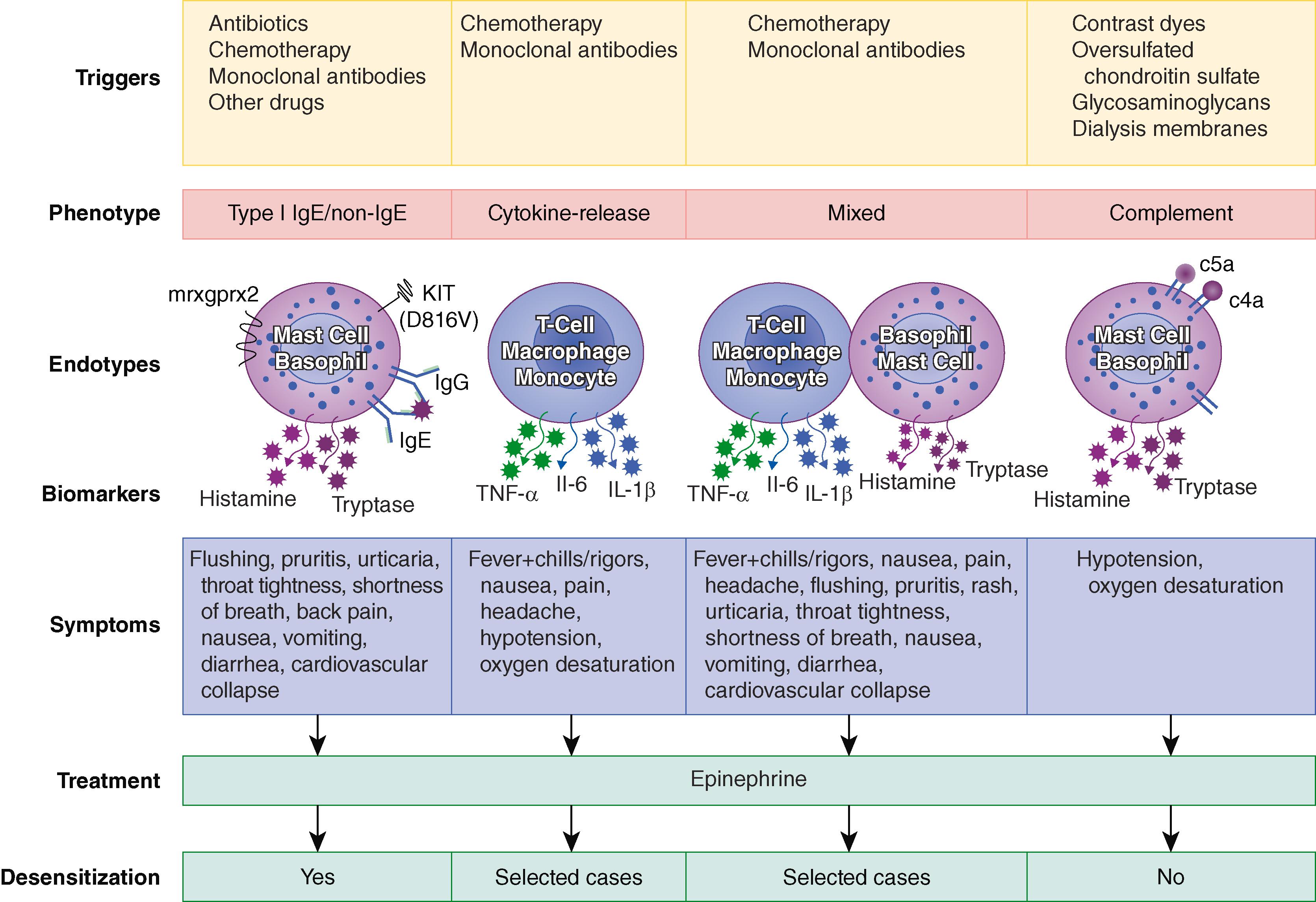 FIGURE 234-2, Phenotypes of immediate reactions include Type I IgE and non-IgE, cytokine-release CRR, mixed reactions, and complement reactions. Underlying endotypes and underlying mediators available clinically, such as tryptase and IL-6.