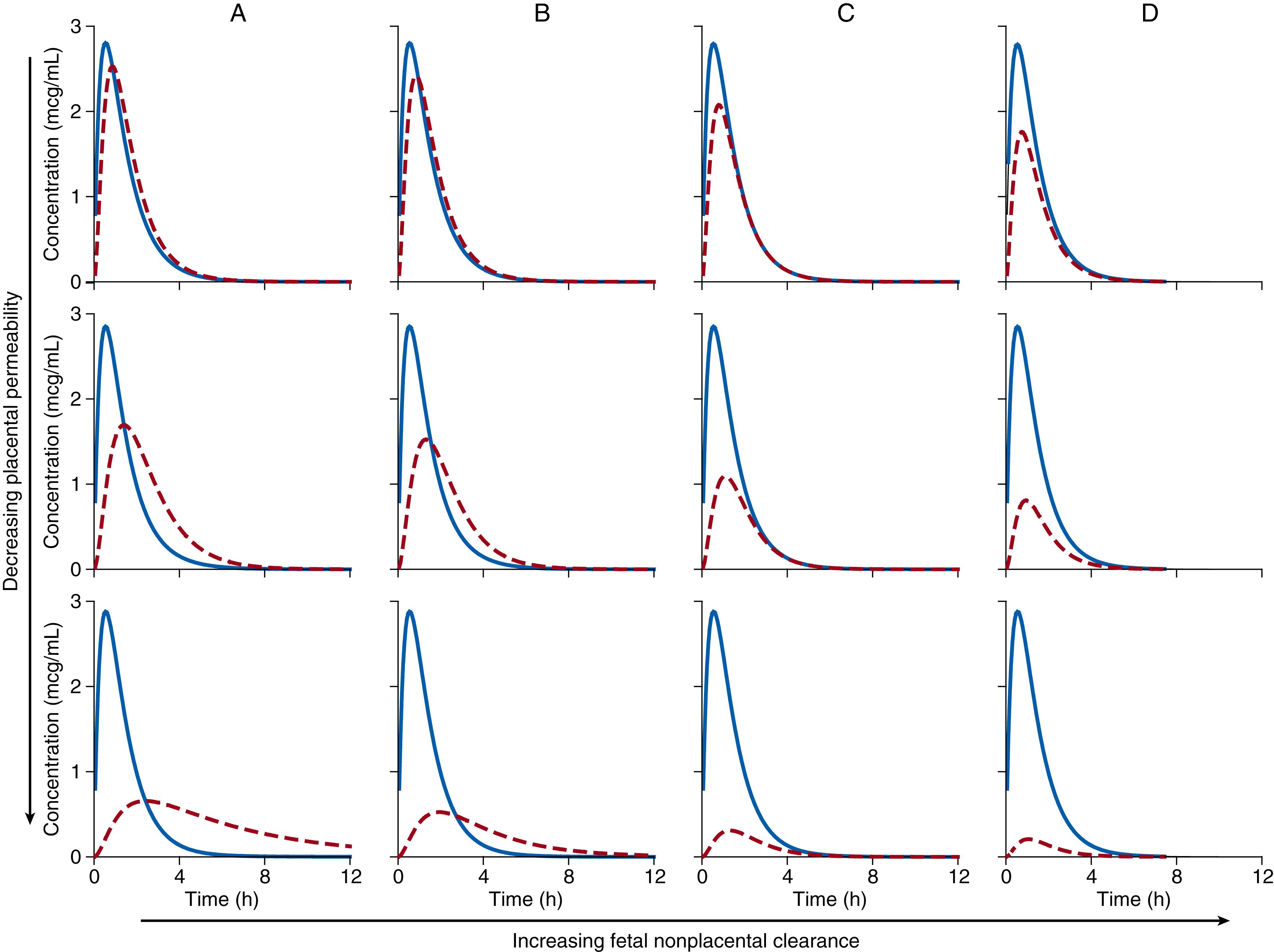 Fig. 19.4, Drug concentration-time curves for mother (solid blue line) and fetus (dashed red line) after an oral bolus of drug. These plots represent the solutions for the rate equations of a two-compartment model following an oral bolus of drug where placental clearance (a measure of placental permeability) and fetal nonplacental clearance (direct fetal elimination) were varied while all other system parameters remained constant. The general parameters used to make these plots are those obtained experimentally in the pregnant baboon following zidovudine administration. 13 The top row represents high placental permeability in that placental clearance is 20% of maternal clearance. In the middle row, placental clearance is 5% of maternal clearance (that observed experimentally). The bottom row represents limited placental permeability in that only 1% of drug administered to the mother will cross the placenta to the fetus. Levels of direct fetal elimination increase with progression from A to D: (A) no direct fetal clearance; (B) fetal clearance is 1% of maternal clearance (that observed experimentally); (C) fetal clearance is 5% of maternal clearance, as would be the case when fetal metabolic activity expressed per tissue mass is similar to that in the adult; (D) fetal clearance is 10% of maternal clearance, as would occur only when fetal enzyme activity is higher than that in the adult.