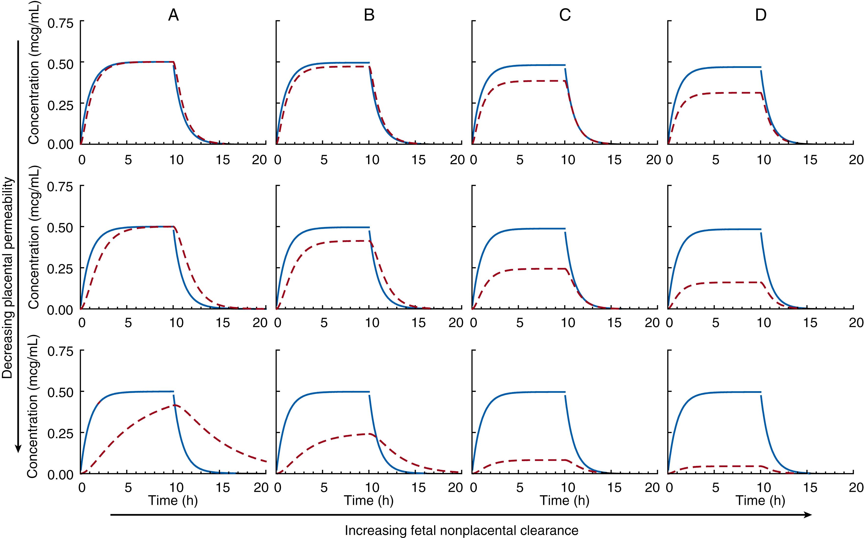 Fig. 19.5, Drug concentration-time curves for the mother (solid blue line) and the fetus (dashed red line) during and after a constant infusion of drug. These plots represent the solutions for the rate equations of a two-compartment model during and after infusion of drug wherein placental clearance (a measure of placental permeability) and fetal nonplacental clearance (direct fetal elimination) were varied, whereas all other system parameters remained constant. Steady-state concentrations provide a good estimate of fetal exposure in relation to maternal concentrations. See Fig. 19.4 for details on the specific parameter values.