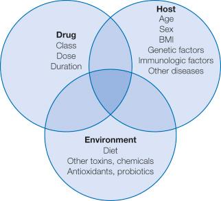 Fig. 56-2, Factors believed to be involved in pathogenesis of drug-induced liver injury.