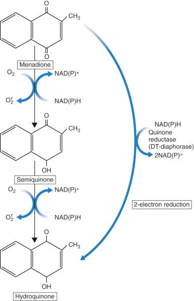 Fig. 56-7, Redox cycling of menadione, an example of a hepatotoxic drug that produces superoxide (O 2 − ).