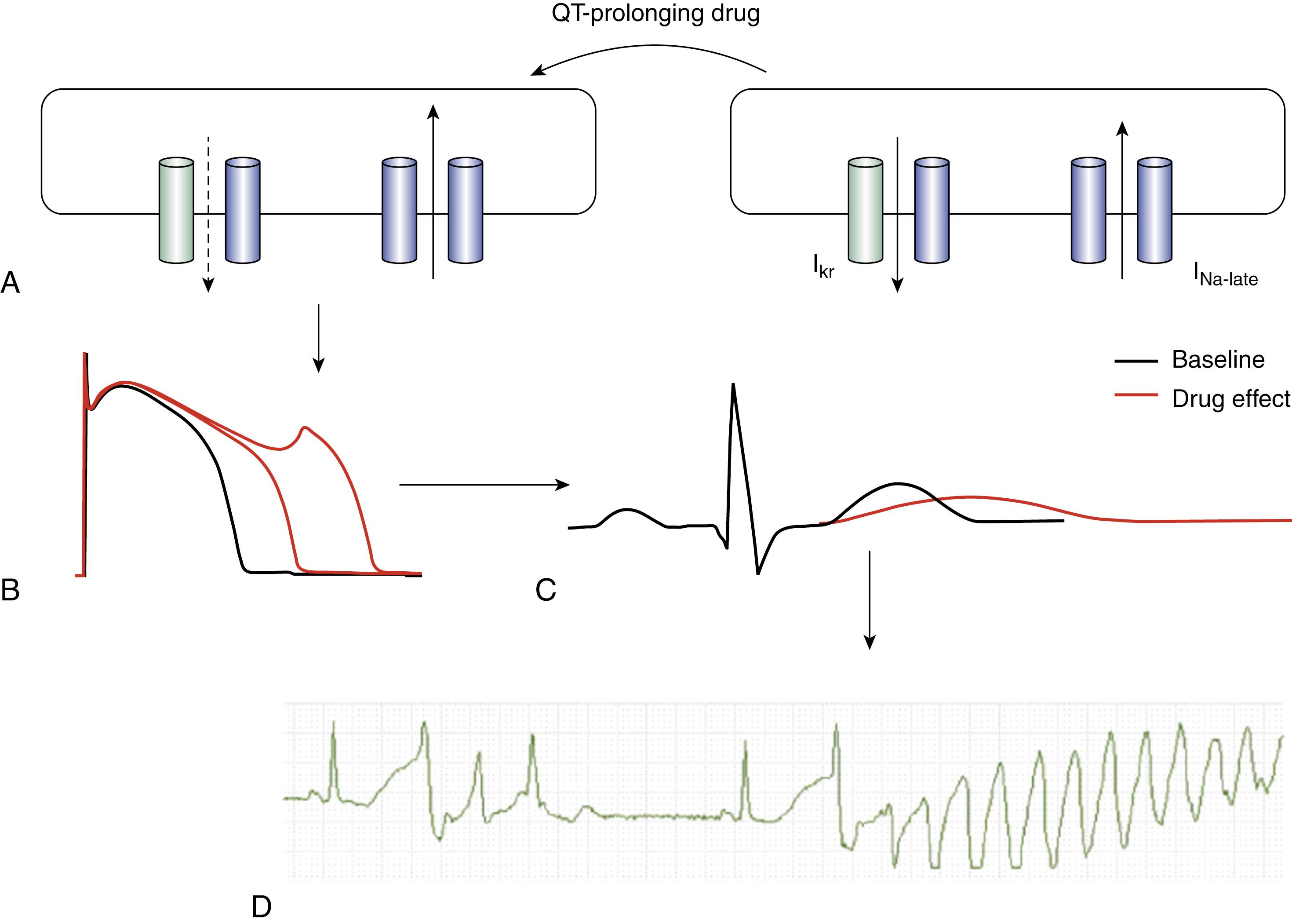 Fig. 102.2, Chain of molecular and cellular events that culminate in drug-induced torsades de pointes.