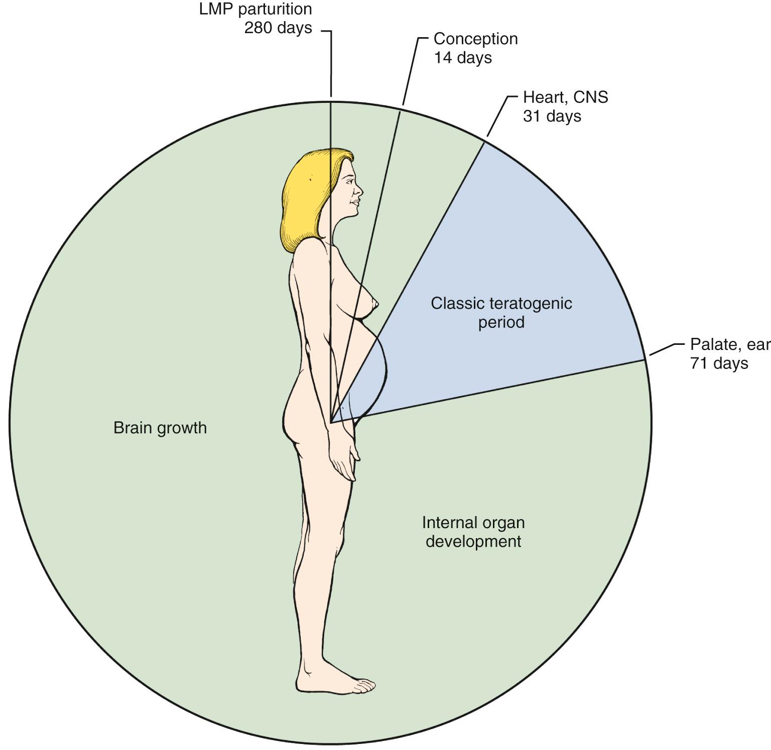 Fig. 7.1, Gestational Clock Showing the Classic Teratogenic Period.