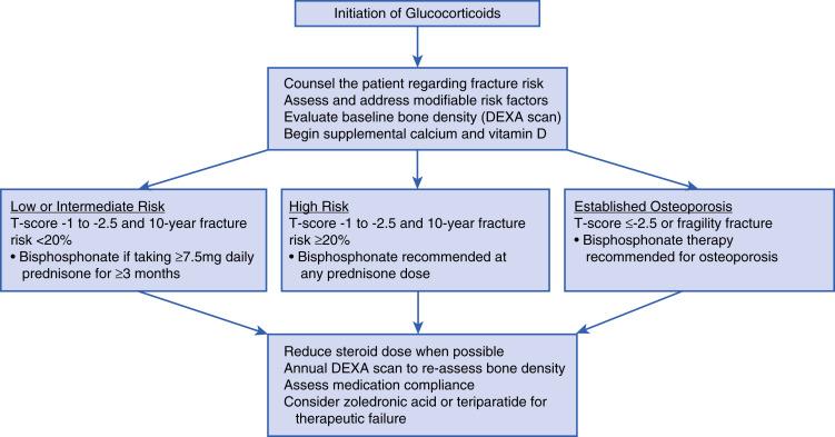 Fig. 39.3, Approach to treating glucocorticoid-induced osteoporosis using bisphosphonates. These recommendations are most applicable to postmenopausal women and men older than 50 years of age. Bisphosphonate therapy in premenopausal women and younger men is less well defined. DEXA , Dual-energy x-ray absorptiometry.