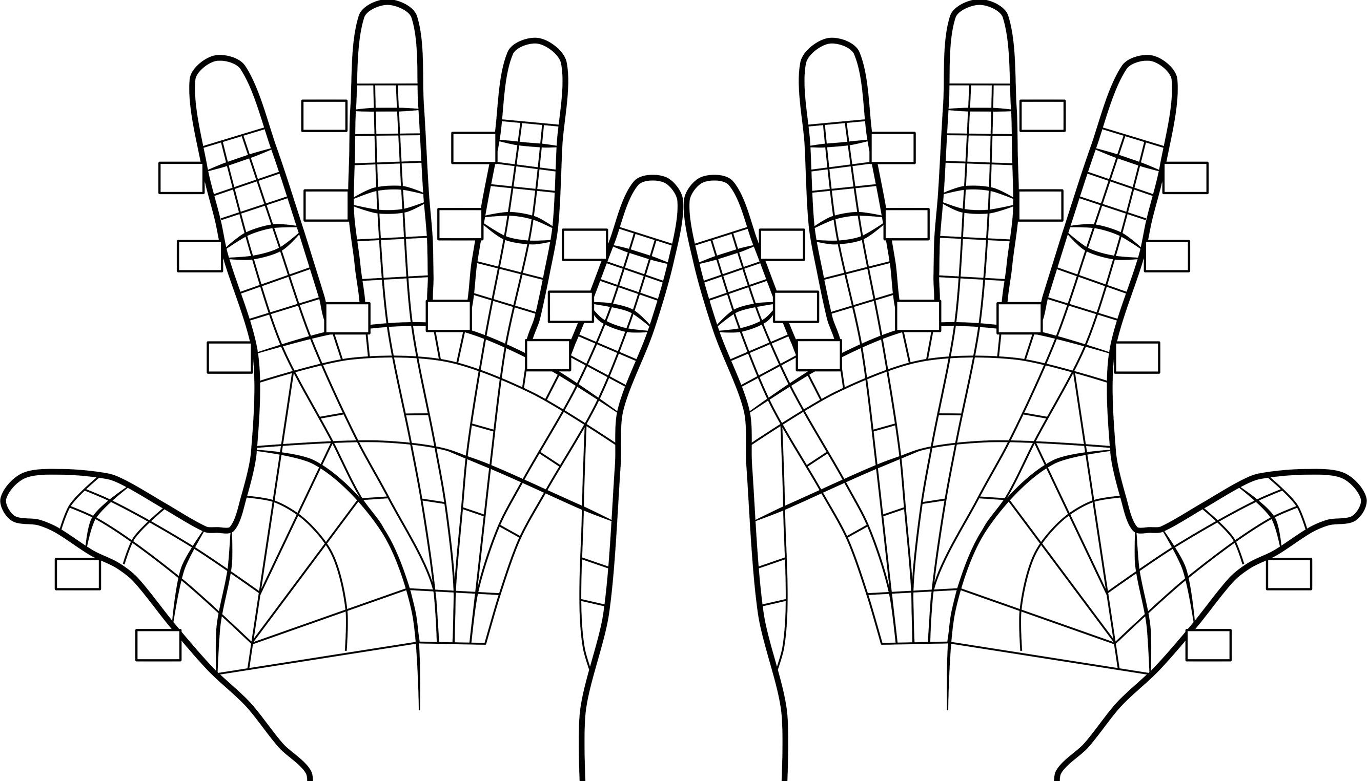 Fig. 4.7, This diagram is based on common zones of involvement and allows standard documentation of the location of physical findings, procedures, and joint measurements. PDF versions of this as evaluation and procedure forms are available at http://dupforms.com .