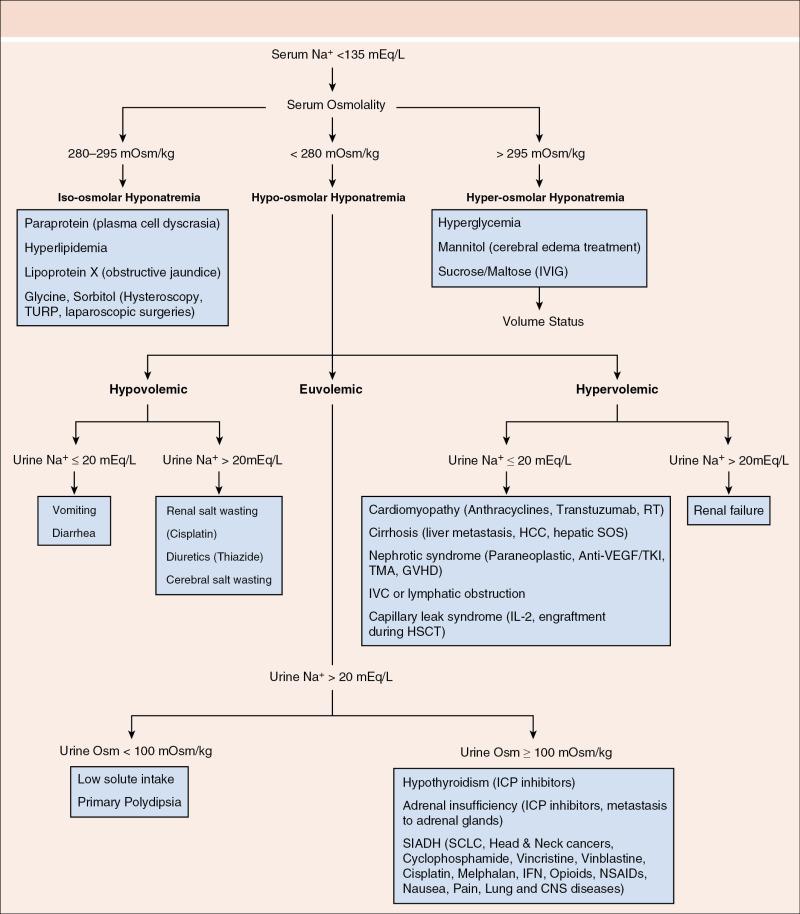 Fig. 2.2, Algorithm for diagnosis of hyponatremia in cancer patients. CNS , Central nervous disease; GVHD , graft-versus-host disease; HCC , hepatocellular carcinoma; HSCT , hematopoietic stem cell transplant; ICP, immune checkpoint; IFN , Interferon; IL-2 , Interleukin 2; IVC , inferior vena cava; IVIG , intravenous immunoglobulin; Na : sodium; NSAIDs , nonsteroidal antiinflammatory drugs; RT , radiation therapy; SCLC , small cell lung cancer; SIADH , syndrome of inappropriate antidiuretic hormone secretion; SOS , sinusoidal obstruction syndrome; TKI , tyrosine kinase inhibitor; TMA , thrombotic microangiopathy; TURP , transurethral resection of the prostate, VEGF , vascular endothelial factor.