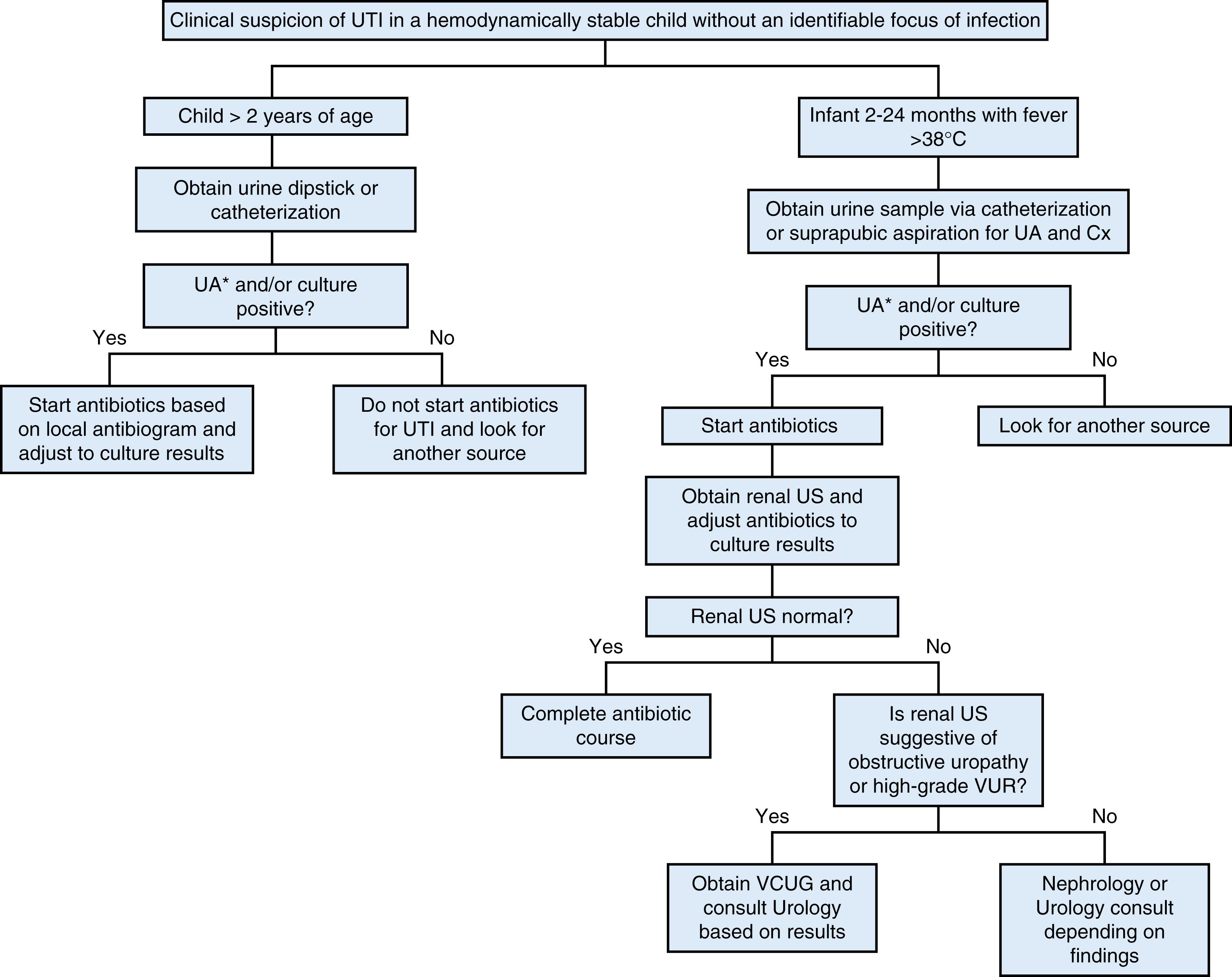 Fig. 21.2, Algorithm for diagnosis and management of UTI in infants and young children. ∗UA positive for leukocyte esterase, leukocytes, nitrites, or bacteria. Cx, culture; US, ultrasonography; UTI, urinary tract infection; VCUG, voiding cystourethrogram; VUR, vesicoureteral reflux.