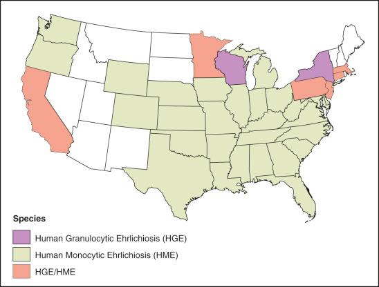 Figure 24-1, Geographical distribution of human ehrlichioses in the United States.