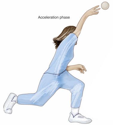 Fig. 134.8, The acceleration phase of throwing.